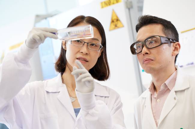 Lab