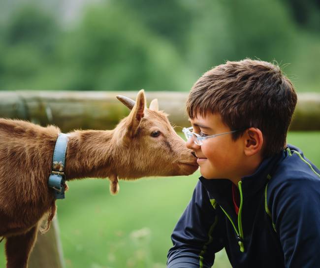Animal Health