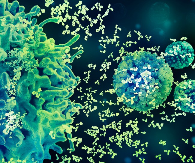 Visuals-Vaccines-Immune