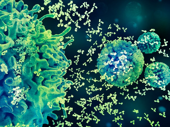 Visuals-Vaccines-Immune